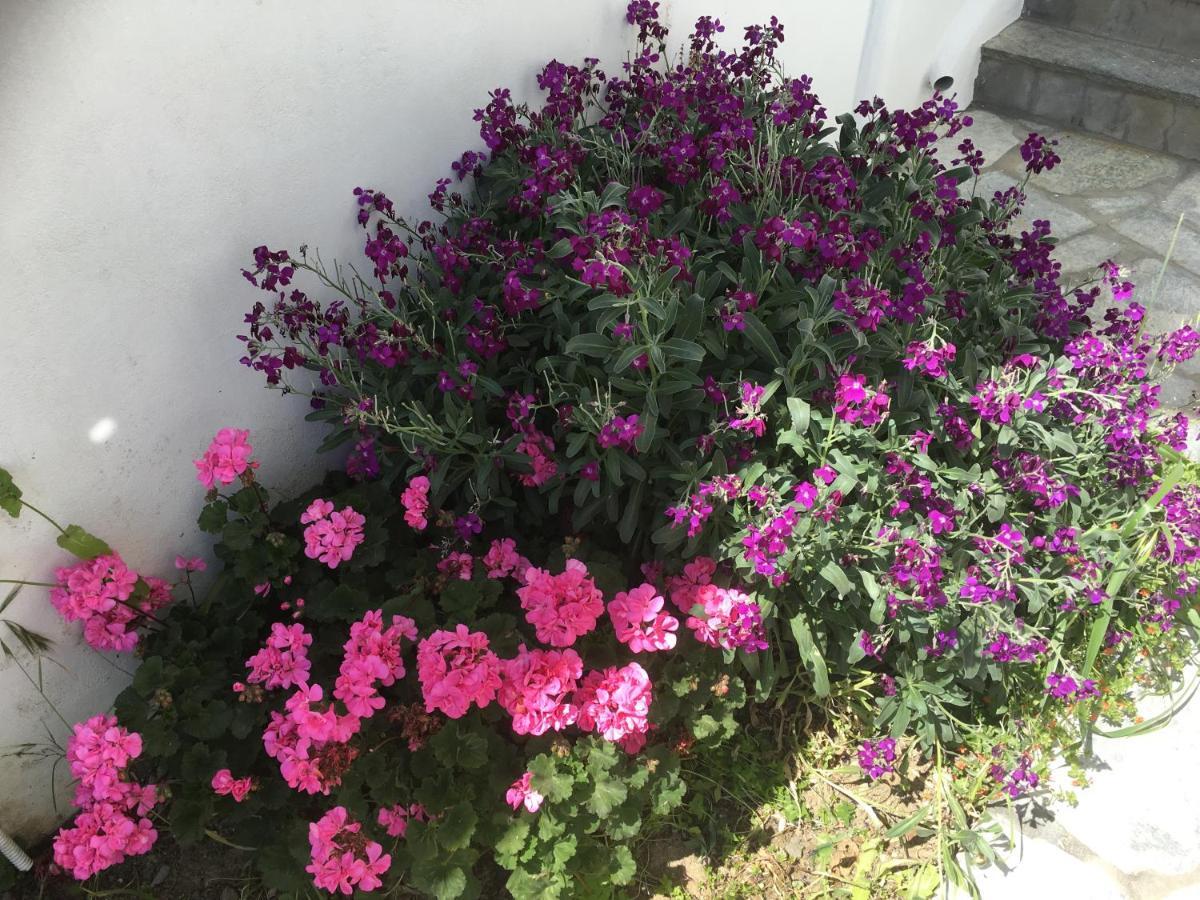 Boussetil Apartment Τήνος Εξωτερικό φωτογραφία